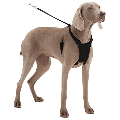 Sporn Mesh Anti Pull Harness for Small Dogs Cover