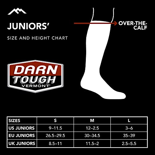 Darn Tough Vermont boys Unisex Modern3