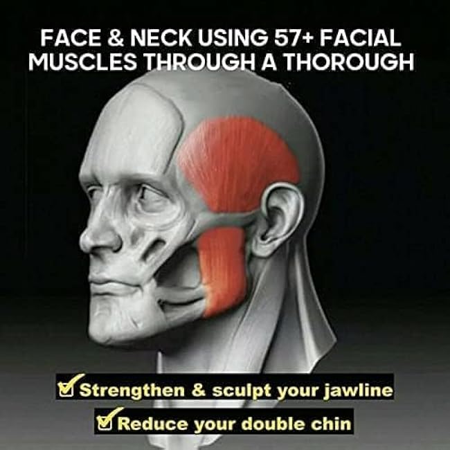 Gray Jaw Exerciser Ball Food Grade Silicone Chewing Device Jaw Exerciser Tablets Jawline Exercise Sculptor Facial Fitness Accessories Exerciser for Men and Women Grip Strengtheners