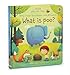 What Is Poo