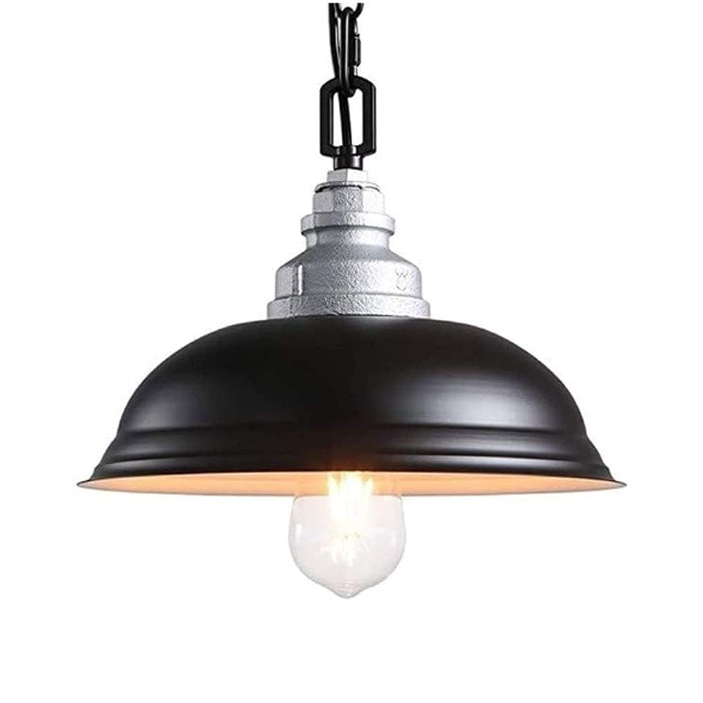 Edison lighting fixture métallique pour remplacer un éclairage de salon terne - 8