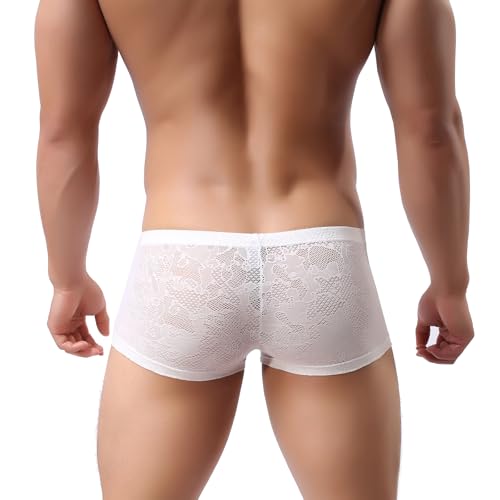 Evankin Men Breathable Underwear See Through Sexy Boxer Briefs Mesh Transparent Pants Male Soft Bikini Lace Underpants