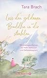Lass den goldenen Buddha in dir strahlen: Weisheitsgeschichten für mehr Vertrauen und Selbstakzeptanz