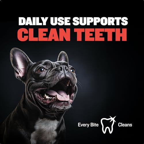 Bully-Max-Chew-Ring-Toy-Long-Lasting-Dog-Chew-Toy-for-Power-Chewers-Big-Dogs-Pit-Bulls-Improves-Mental-Health-Keeps-Dogs-Busy-for-Hours