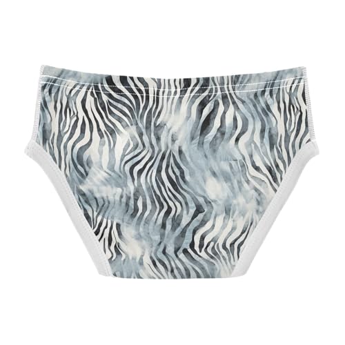 visesunny Boys Cotton Underwear Ink Zebra Print Printed Toddler Soft Training Briefs Size 2T-8Y for Kids2