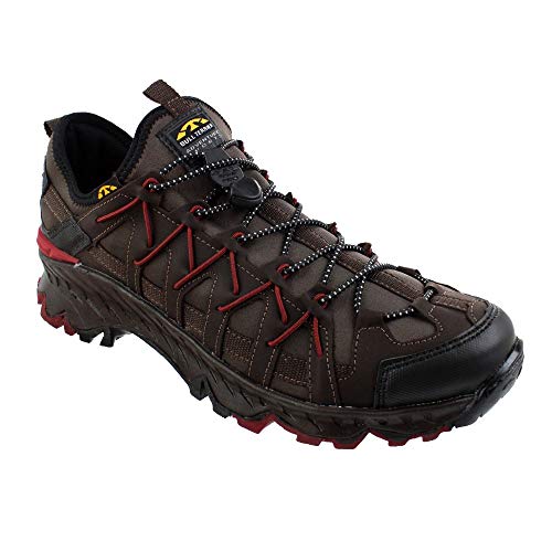 Tênis Bull Terrier Hawk II