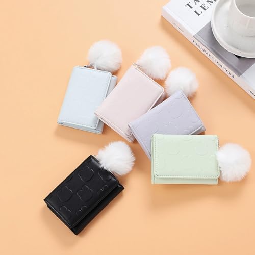 Ladies Wallet for Daily Errands and Social Events - Delicate Design, Trendy Aesthetic, Classic Look4