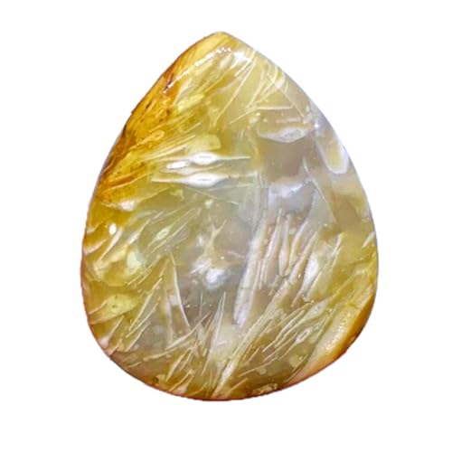 Fossile naturelle en cabochon poire pour créer votre propre collier bohème fait main