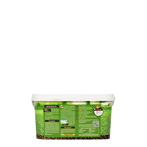 Compo SAAT Nachsaat-Rasen, Spezielle Nachsaat-Mischung mit wirkaktivem Keimbeschleuniger, 2 kg, 100 m² - 6