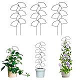 IA Garden Indoor Plant Trellis for Climbing Plants, 3 Pack Stackable Garden Trellis for Potted Plants, Small House Plant Trellis for Vine Ivy Flower Plant Support Outdoor DIY Metal Trellis, Black