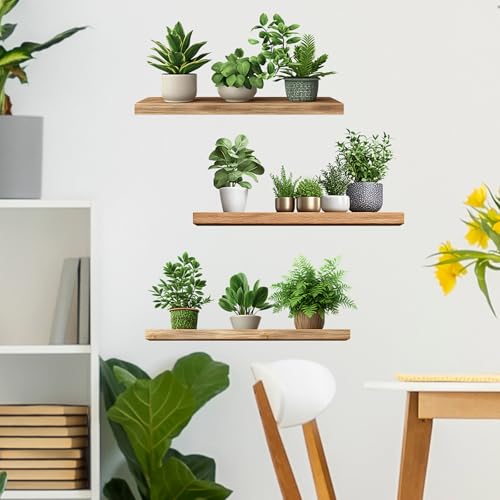 Image of Green Plants Wall Stickers 3D Bonsai Tropical Betterfly Creative Vinyl Peel and Stick Removable Wall Art for Living Room Bedroom Home Office (Green Plant 6)