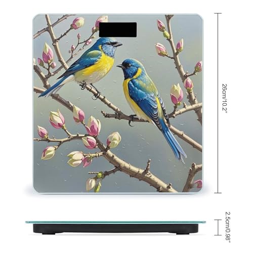Balanza digital azul amarillo vidrio templado LCD miniatura 2