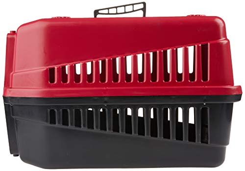 Caixa Transporte N. 03, Vermelho Tudo Pet para Cães