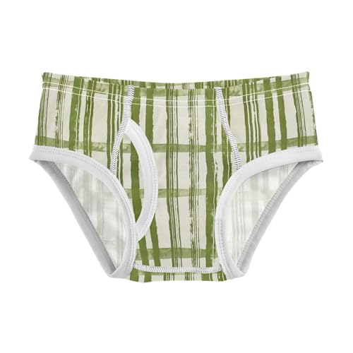 visesunny Boys Potty Training Underwear Matcha Plaid Texture Breathe Cotton Briefs Size 2T-8Y for Toddler