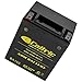 Caltric Agm Battery Compatible with Yamaha Bear Tracker 250 Yfm250 Yfm-250 2Wd 1999-2003
