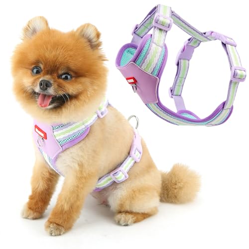 SMALLLEE_LUCKY_STORE  n[lX U ^ ybg   xXg y ߉\  Ȗ͗l bV n[lX Lp S ʋC Ď h~   ȒPE s⏕pCp[vCS