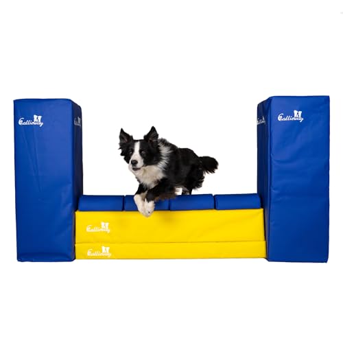 Callieway Turnier Agility Mauer „Bounce Over - Soft“ – alle FCI Sprunghöhen (gelb/blau)