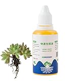 Fabixoin