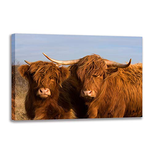 Lienzo de vaca de las tierras altas 50 x 70 cm cuadro para salon