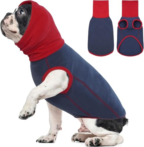 shirts for dogs