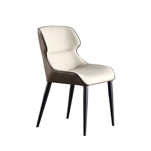EINES Desk Chair Modern Simple Home Backrest Dining Chair Nordic Light Luxury Restaurant Hotel Negotiation Leisure Table And Chair Makeup Stool Gaming Chair