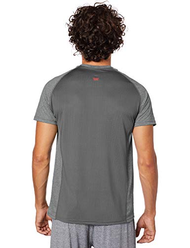 Speedo Print Camiseta de Manga Curta, Masculino, Cinza (Mescla Chumbo), G
