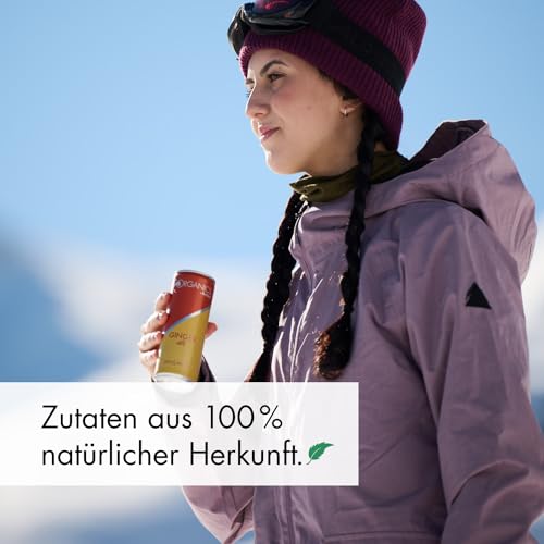 ORGANICS Ginger Ale by Red Bull, 24 x 250ml, Dosen Bio Getränke 24er Palette, OHNE PFAND