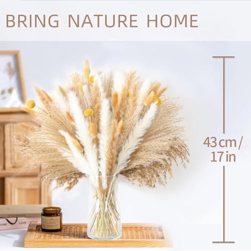 Ramo minimalista de pasto pampas seco, natural y blanco miniatura 2
