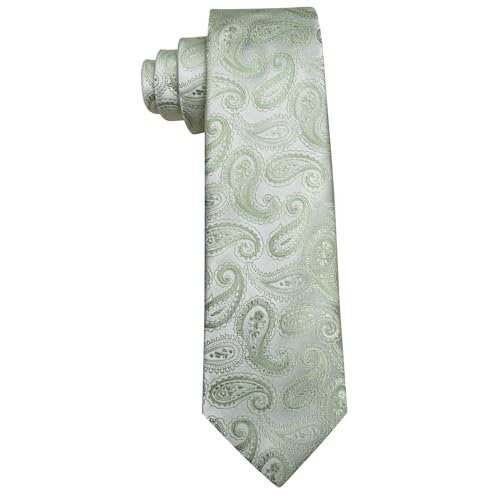 Image of Barry.Wang Paisley Tie for Men Silk Woven Necktie and Tie Clip Set Wedding Party Business Formal