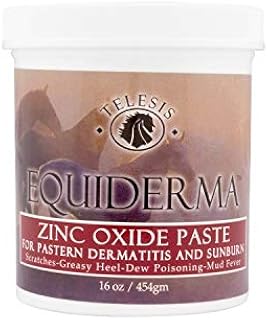 EQUIDERMA Zinc Paste