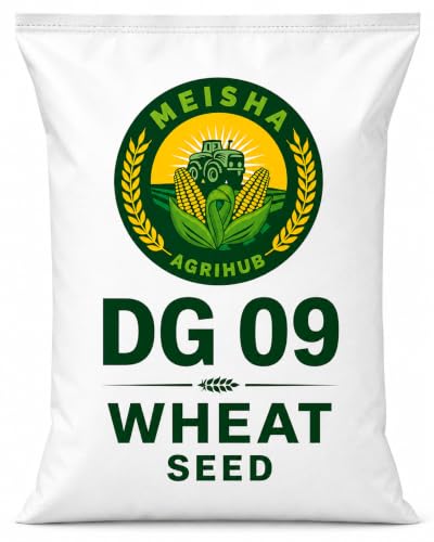 DG 09 Wheat Seeds for Sowing | DG-09 Wheat Variety for Farming & ...