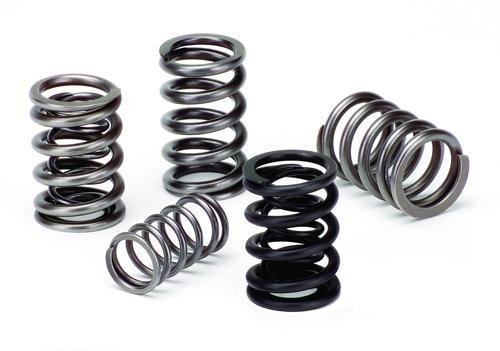 Supertech Valve Springs - INTEGRA - - - SPR-H100DR - B17A1