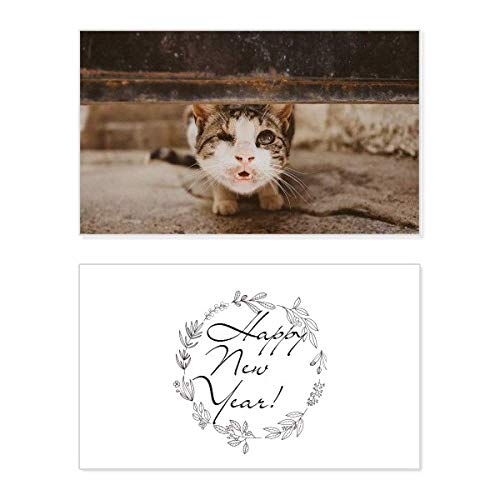 Tarjeta conmemorativa de Año Nuevo con gato para compartir deseos llenos de ternura y amor