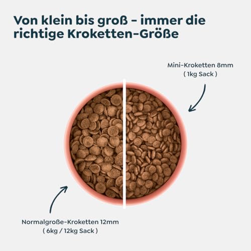 WOW Dog Senior Trockenfutter Ente | 32% Fleischanteil, für Sensible Hunde geeignet, getreidefrei | 6 kg / 2er Pack