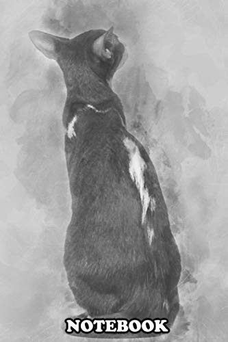 Notebook: Rear View Of An Oriental Shorthair Sitting And Looking , Journal for Writing, College Ruled Size 6" x 9", 110 Pages