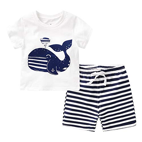 Image of LittleSpring Boys Summer 2piece Outfits Short Sleeve T-Shirt and Shorts Set