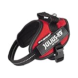 arneses julius k9 baratos Tamaño: Circunferencia del pecho: 40-53 cm. Peso del perro: 4-7 kg. Para conocer nuestros productos, visita nuestra Amazon Store.