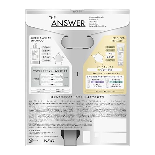THE ANSWER ジ アンサー スーパーラメラシャンプー＆EXグロストリートメント FOR HEAT DAMAGE（ツヤ なめらか）お試し容量ペア 320ml＆180g