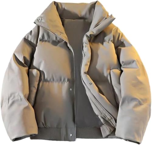 Goolecrimp Chaqueta De Hombre Con Cuello Alto Gruesa Impermeable Y Cortavientos Para Exteriores Con Cremallera De Cuero Sintético Y Algodón Chaqueta Cálida De Color Sólido (Gris,L)