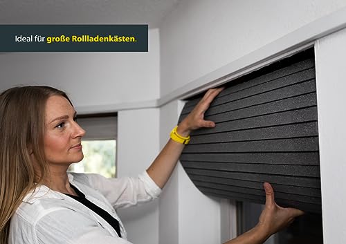 Schellenberg 66282 Wärmedämmung Rolladenkastendämmung, 2-teilig mit 25 mm Stärke 100 x 50 cm, Rolladendämmung