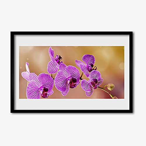 Affiche encadrée 60x40 cm orchidée pour masquer un mur vide avec un cadre en MDF