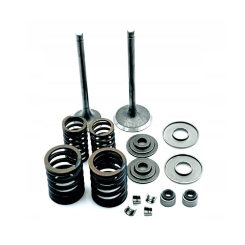 Kit de reconstrucción de válvulas 260 300 EFI con juntas de motor de alta precisión