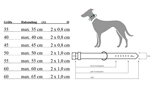 Hunter OSS - Collare per Cani, con Pelliccia
