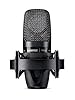 Shure PG ALTA Large-Diaphragm Side-Address Cardioid Condenser Microphone with Shock-Mount and Carrying Case, No Cable (PGA27-LC) #3