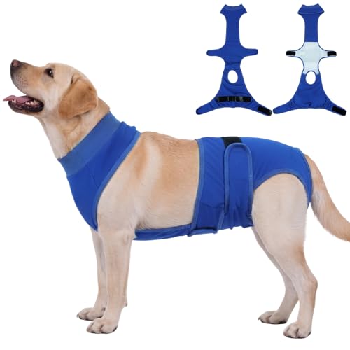 Image of BRKURLEG Female Dog Diapers with Suspender, Washable & Reusable, Blue XL