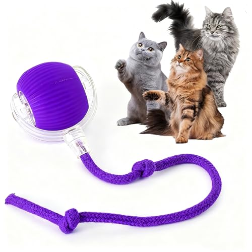 Rocfish Durable Interactive Cat Toys for Indoor Cats (Purple, 01)