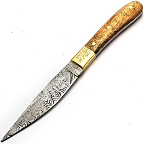 PAL 2000 KNIVES Cuchillos de Damasco - Cuchillo hecho a mano de acero de Damasco - Calidad garantizada Mini cuchillo de chef de acero de Damasco - Mini cuchillo de cocina con funda 9725
