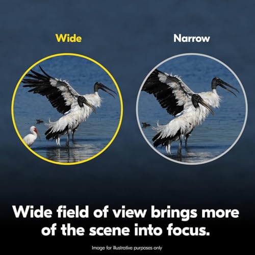 Binoculares Nikon Action 8x42 multicoated miniatura 5