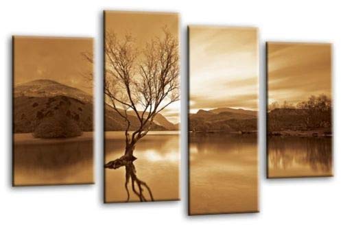 LRLandscape Lake Wall Art Picture Cream Brown Mountain Floral Framed Split Panel Canvas Print