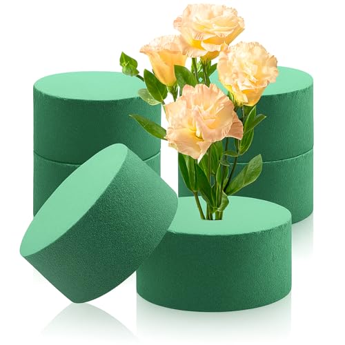 pangdapengpeng 6 Pezzi Spugna per Fiori 8 x 4cm, Schiuma